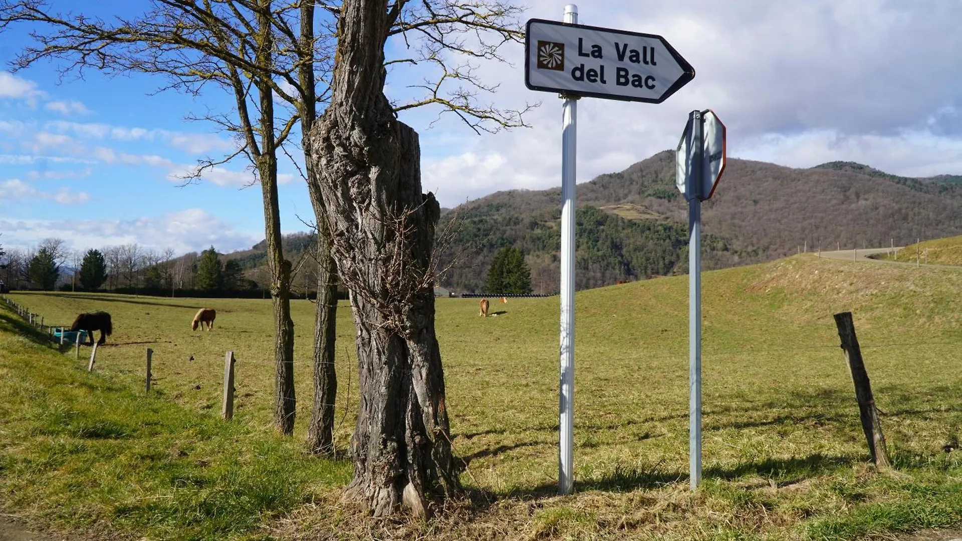Apartamento Cal Harrys - La Mejor Casa De Vacaciones En Pyrenees Con Vistas A La Montana Sant Pau de Segúries España